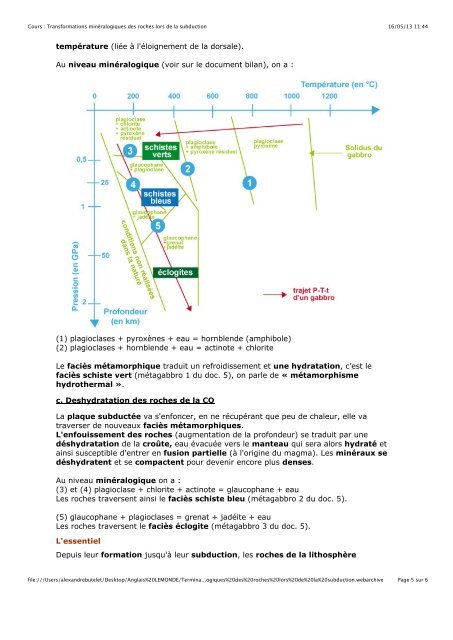 1. Hybridation et polyploïdisation