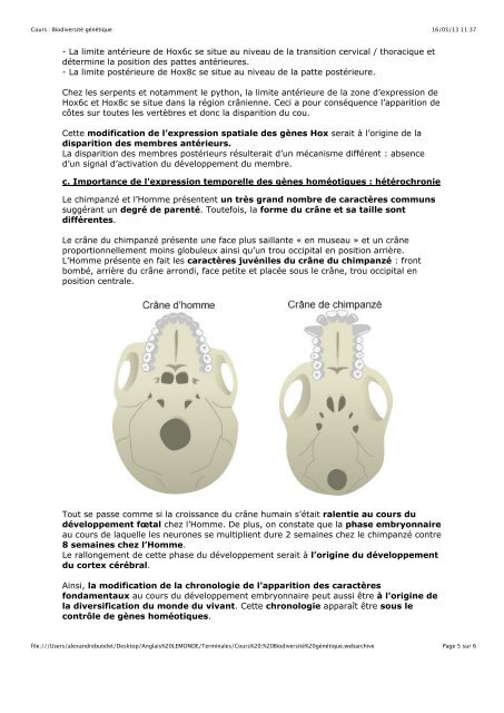 1. Hybridation et polyploïdisation