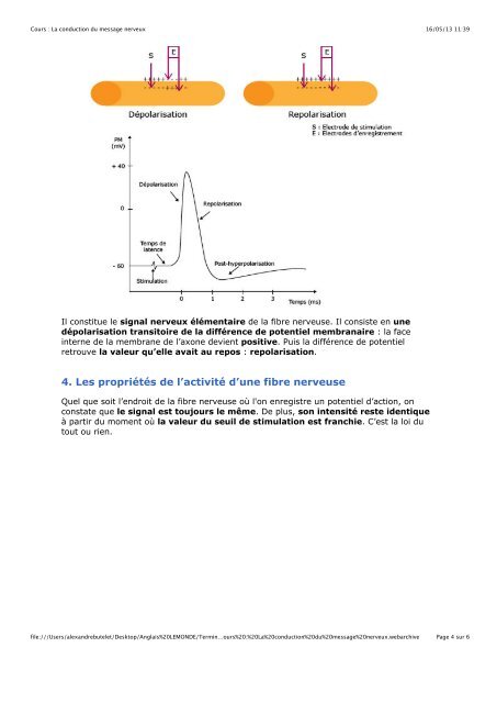 1. Hybridation et polyploïdisation