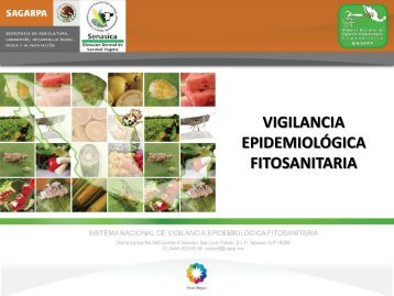 Descargar Documento de Vigilancia Epidemiológica en PDF - sinavef