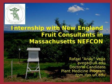 Internship with New England Fruit Consultants in Massachusetts
