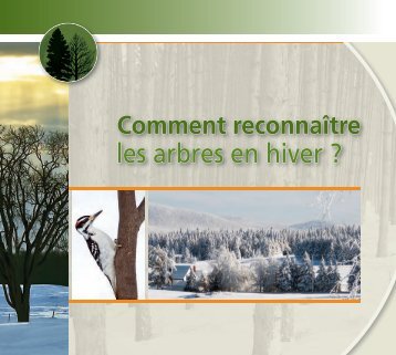 Comment reconnaître les arbres en hiver? - Association forestière ...