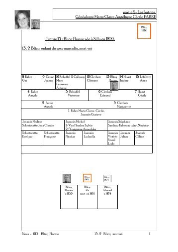 Fratrie 13 : Blicq Florine née à Silly en 1859 . 13 . 2 Blicq enfant du ...