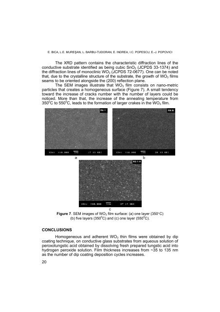 PDF file - Facultatea de Chimie şi Inginerie Chimică