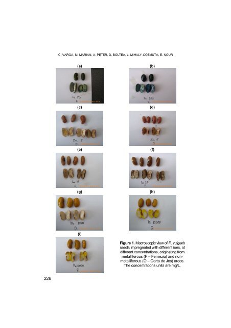 PDF file - Facultatea de Chimie şi Inginerie Chimică