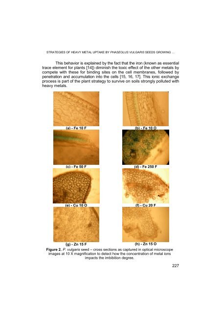 PDF file - Facultatea de Chimie şi Inginerie Chimică