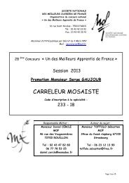 Carreleur Mosaïste - Meilleurs Ouvriers de France