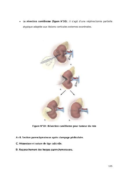 Graphique 1 - Faculté de Médecine et de Pharmacie de Fès