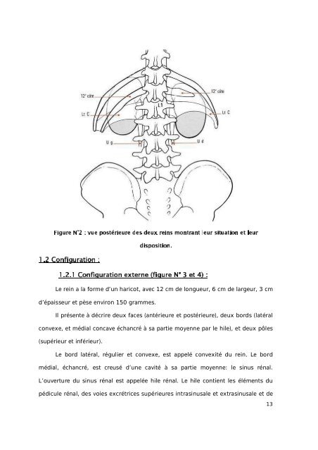 Graphique 1 - Faculté de Médecine et de Pharmacie de Fès