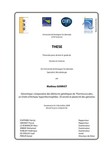 Télécharger le manuscrit de thèse (pdf) - MathGon