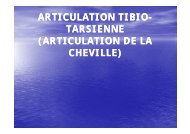 articulation de la cheville - Facmed-annaba.com