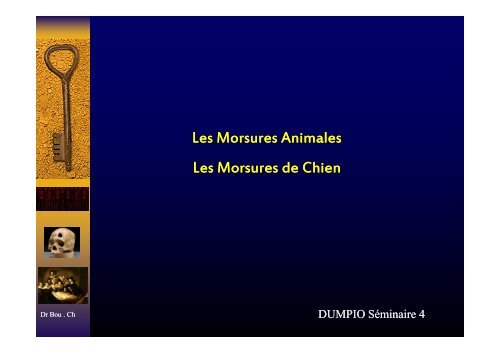 Cours morsure chien [Mode de compatibilité] - aspbd