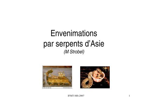 Envenimations par serpents d'Asie - Institut de la francophonie pour ...