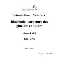 Biochimie : structure des glucides et lipides - Faculté de médecine ...