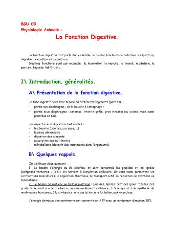 La fonction digestive