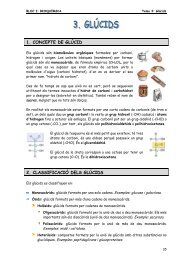 1.03. Glúcids
