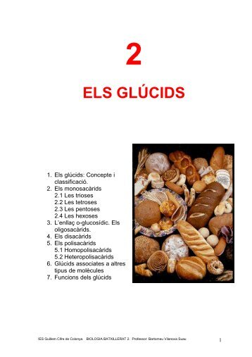 7 funcions dels glúcids - IES Guillem Cifre de Colonya