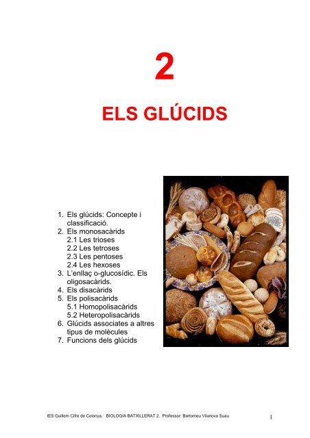 7 funcions dels glúcids - IES Guillem Cifre de Colonya