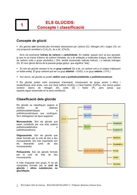 7 funcions dels glúcids - IES Guillem Cifre de Colonya