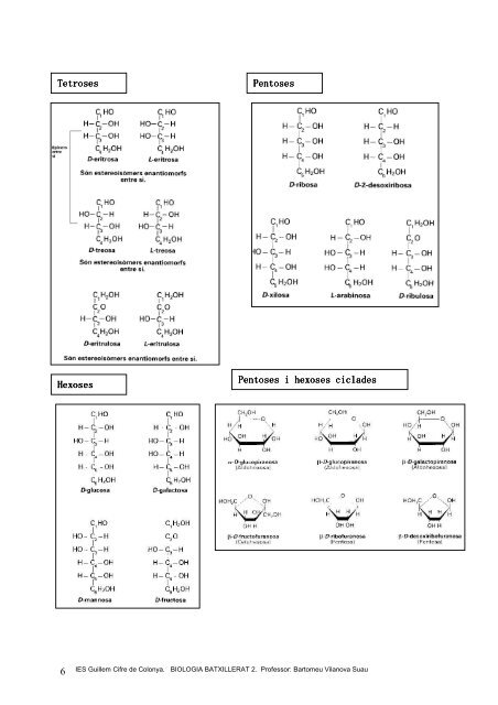 7 funcions dels glúcids - IES Guillem Cifre de Colonya