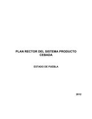 Plan Rector Sistema Producto Estatal Puebla Cebada