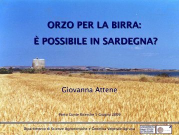 orzo per la birra: è possibile in sardegna? - Porto Conte Ricerche