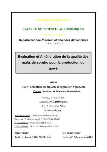 Evaluation et Amélioration de la qualité des - cyber-these fsa