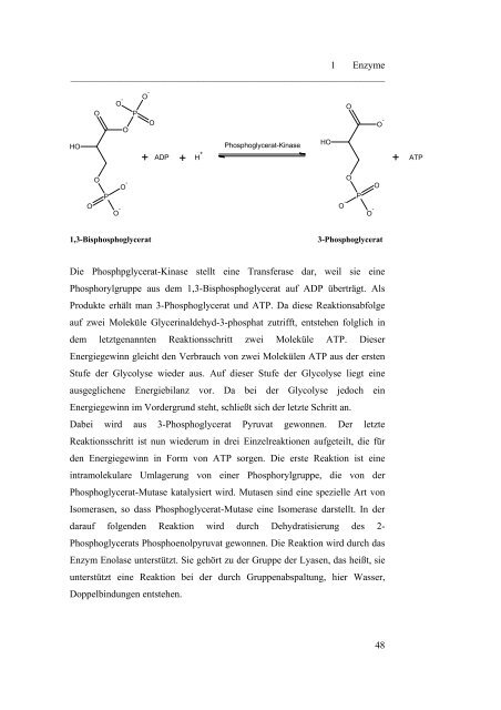 Biochemie und Biotechnologie in der Schule: Hubertus ... - ChidS