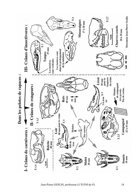 Jouons a la pelote CM J-P Geslin.pdf - Free