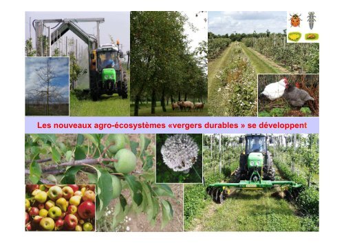 Produire des fruits en Agriculture Biologique - Institut d'Eco-Pédagogie