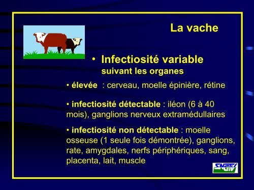 Risques biologiques - Intefp