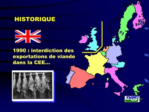 Risques biologiques - Intefp