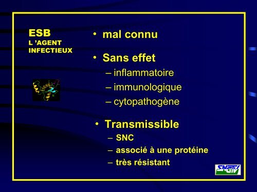 Risques biologiques - Intefp