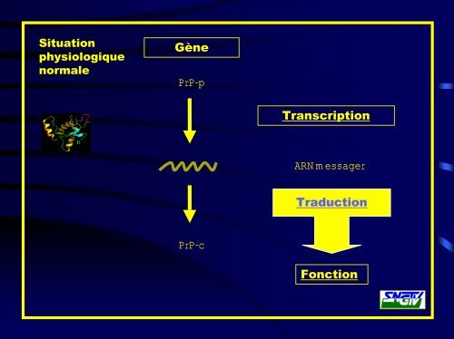 Risques biologiques - Intefp