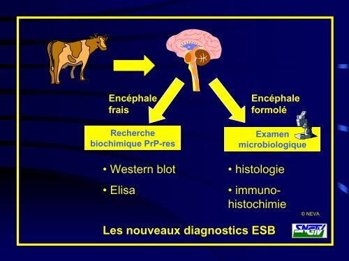 Risques biologiques - Intefp