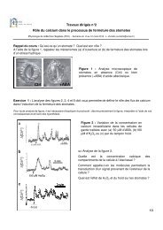 (Microsoft PowerPoint - Poly_td_pnv_zurletto_2010 [Mode de ...