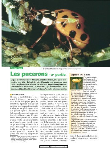 Les pucerons II / Insectes n° 148