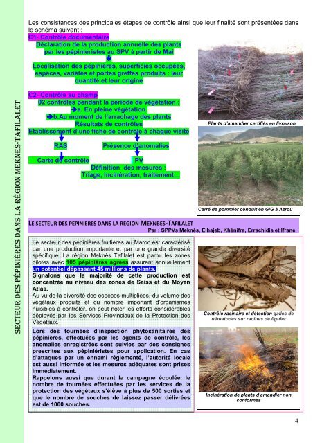 Phyto-info Meknès-Tafilalet n°08 - ONSSA