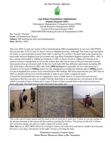 Aga Khan Foundation-Afghanistan - The System of Rice Intensification