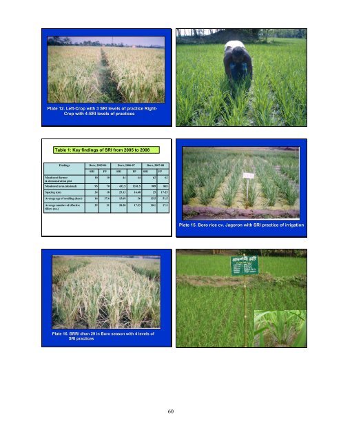 Revised proceedings - The System of Rice Intensification - Cornell ...