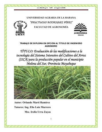 Trabajo de Diploma - The System of Rice Intensification