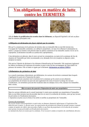 Les termites : que sont ces insectes - Préfecture de l'Aude