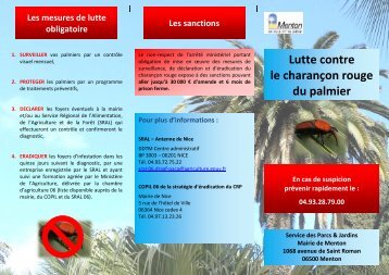 Flyer : lutte contre le Charançon Rouge du Palmier - Ville de Menton