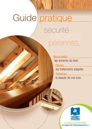 Guide pratique de la CTBA + - CTBA+ - Traitement et protection du ...