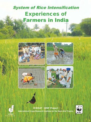 Experiences of Farmers in India Experiences of Farmers in ... - AgSri