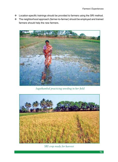 Experiences of Farmers in India Experiences of Farmers in ... - AgSri