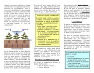 Opúsculo manejo agua de escorrentía