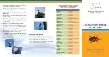 Dépliant charançon rouge en français - ONSSA