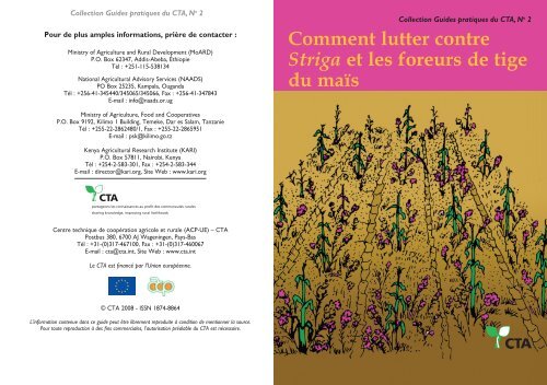 Comment lutter contre Striga et les foreurs de tige du maïs