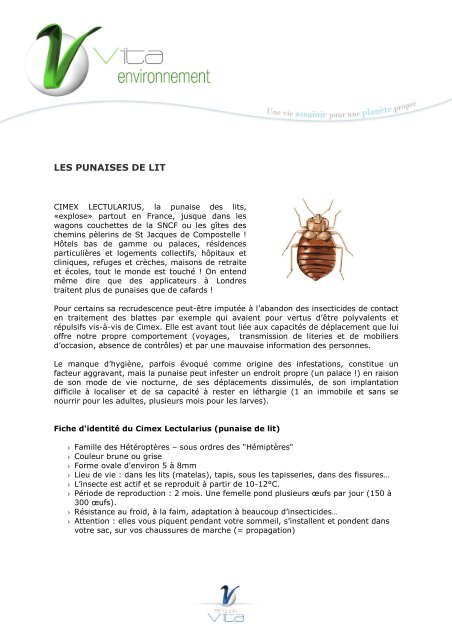 Punaises de lit : attention aux insecticides ! 